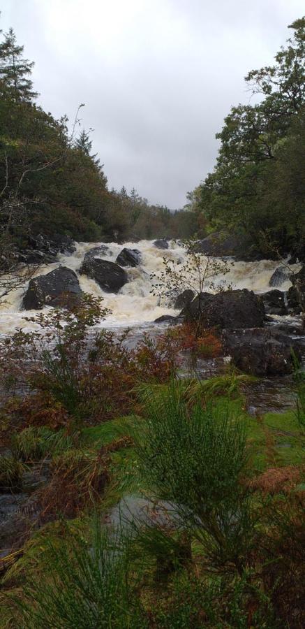 Lios Daire Killarney Exterior foto