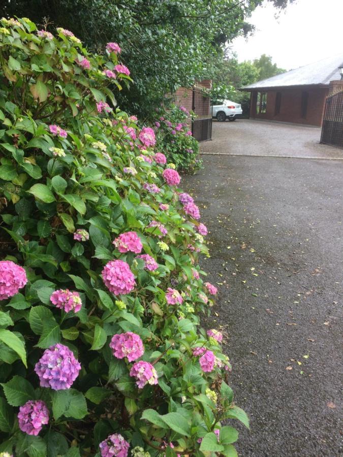 Lios Daire Killarney Exterior foto
